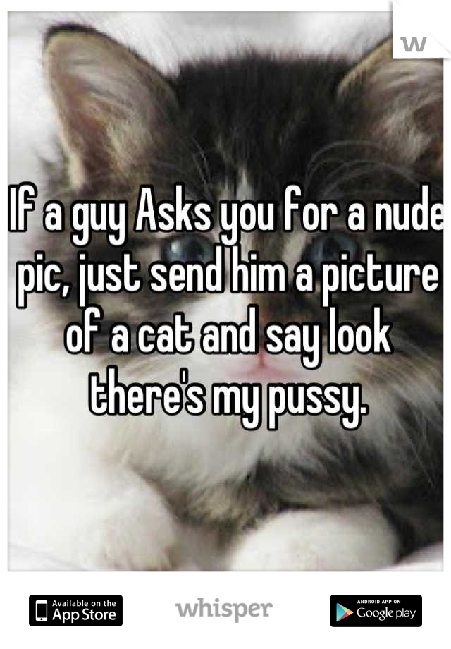 If a guy Asks you for a nude pic, just send him a picture of a cat and say look there's my pussy.