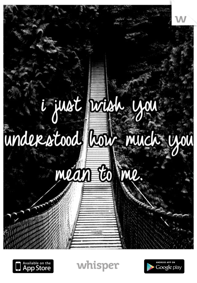 i just wish you understood how much you mean to me.