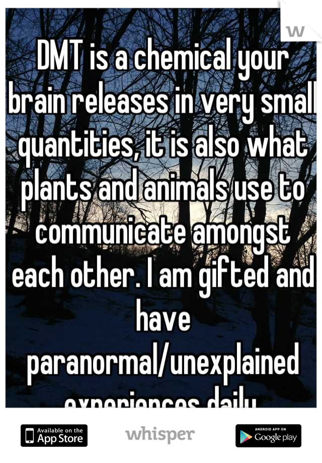 DMT is a chemical your brain releases in very small quantities, it is also what plants and animals use to communicate amongst each other. I am gifted and have paranormal/unexplained experiences daily.