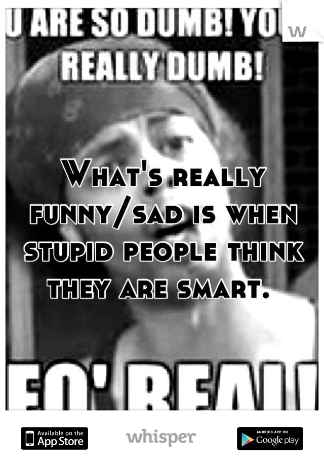 What's really funny/sad is when stupid people think they are smart. 