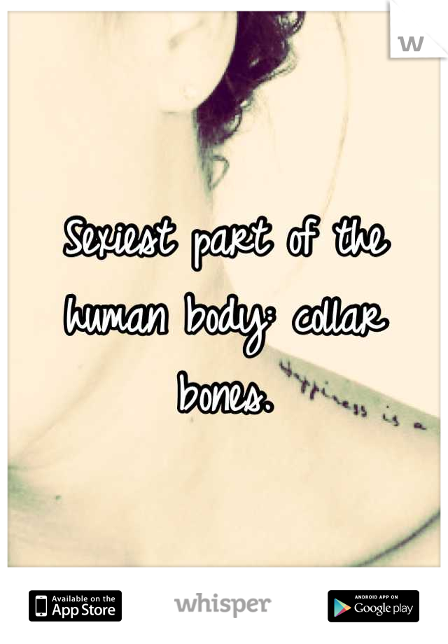 Sexiest part of the human body: collar bones.