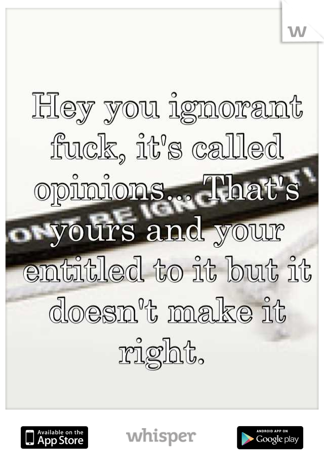 Hey you ignorant fuck, it's called opinions... That's yours and your entitled to it but it doesn't make it right. 
