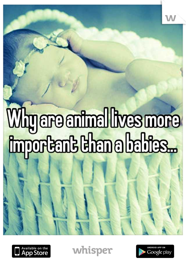 Why are animal lives more important than a babies...