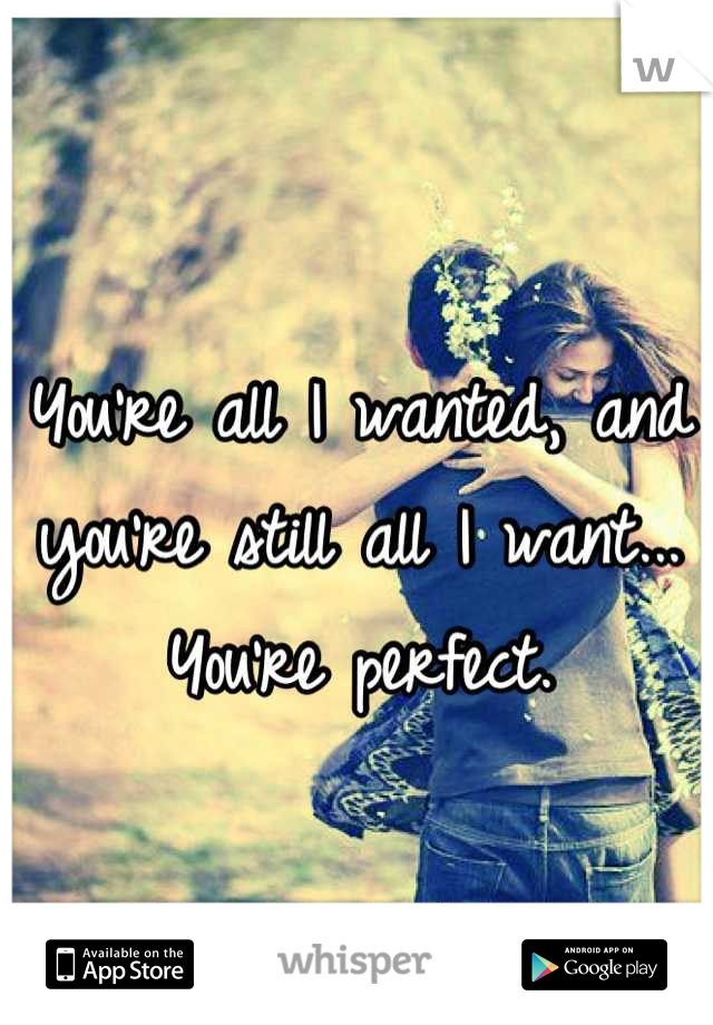 You're all I wanted, and you're still all I want... You're perfect.