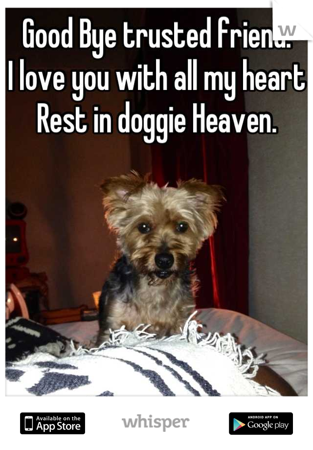 Good Bye trusted friend. 
I love you with all my heart
Rest in doggie Heaven.