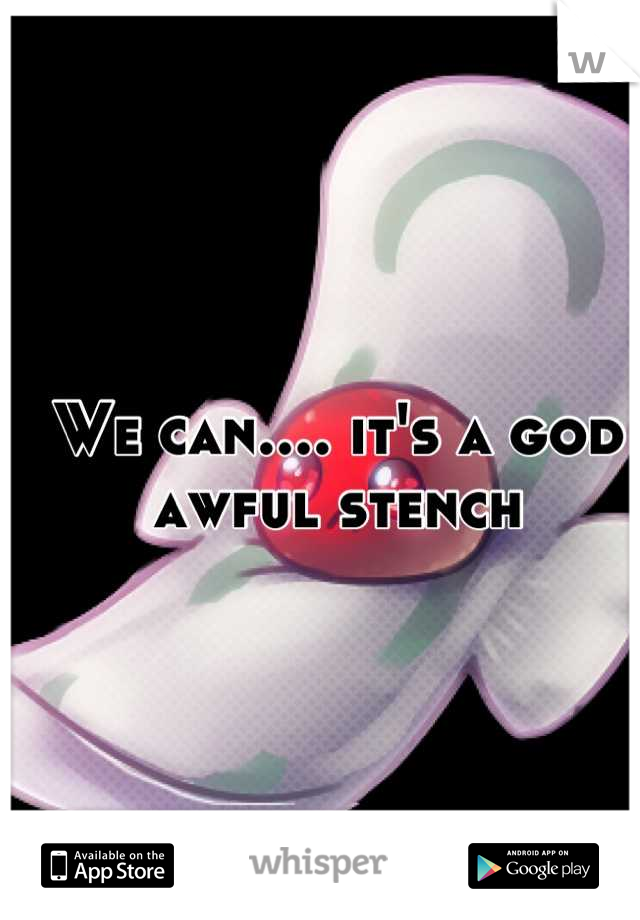 We can.... it's a god awful stench