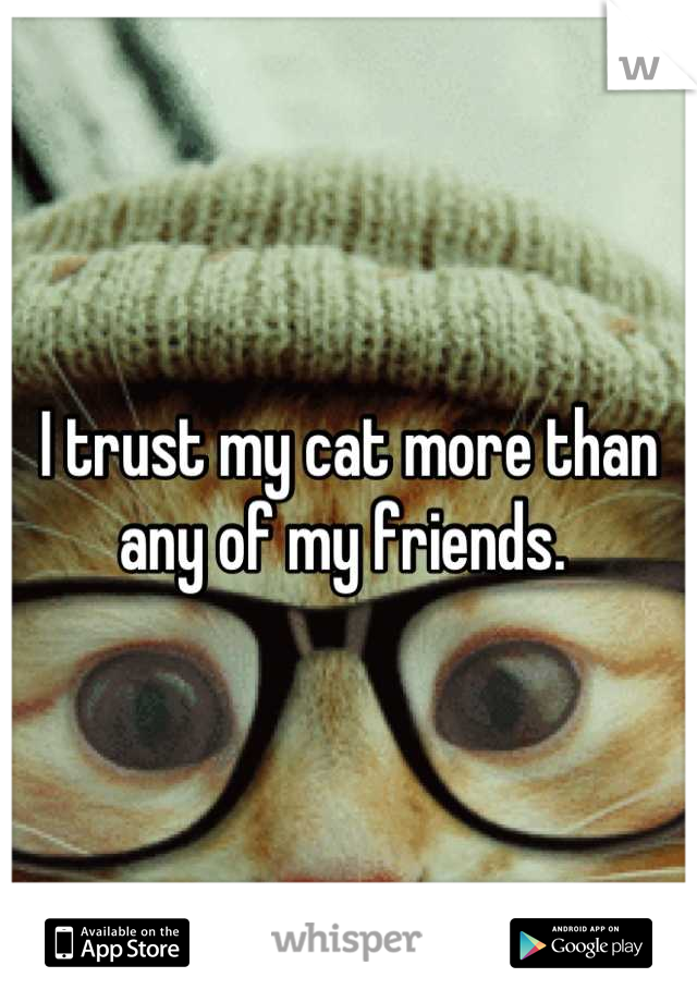 I trust my cat more than any of my friends. 