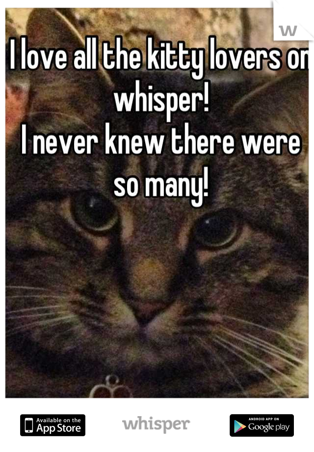 I love all the kitty lovers on whisper!
I never knew there were so many!