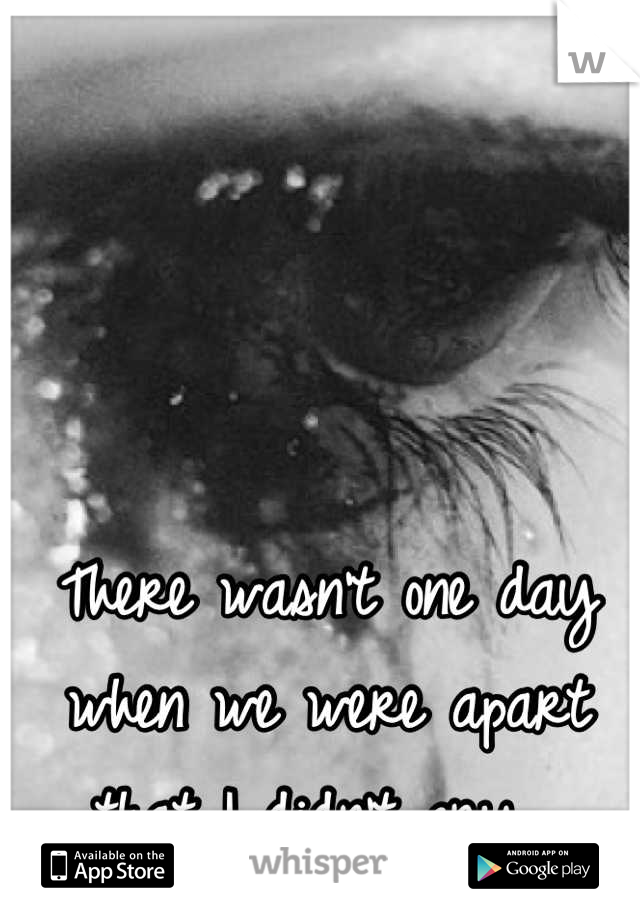 There wasn't one day when we were apart that I didn't cry. 
