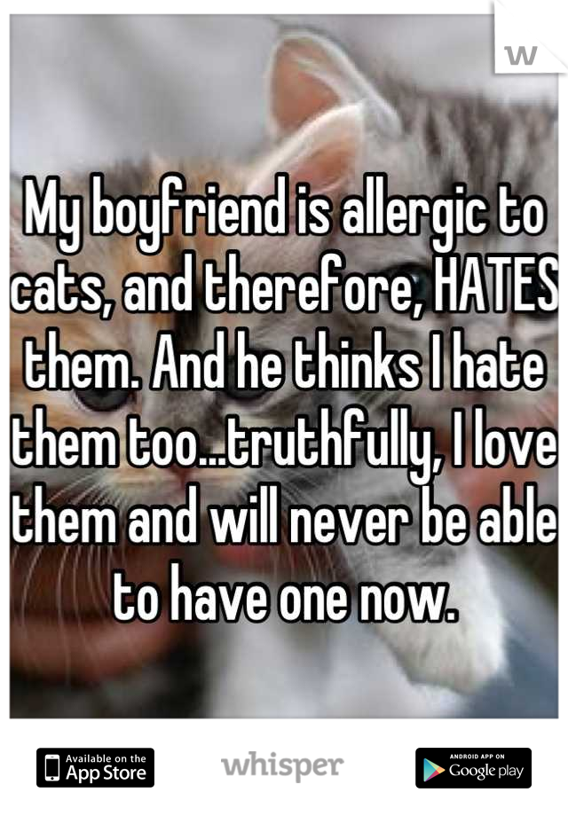 My boyfriend is allergic to cats, and therefore, HATES them. And he thinks I hate them too...truthfully, I love them and will never be able to have one now.