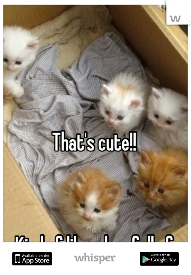 That's cute!! 



Kind of like a box full of kittens!! :)