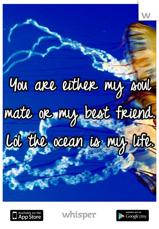 You are either my soul mate or my best friend. Lol the ocean is my life.