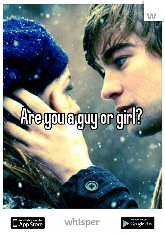 Are you a guy or girl? 