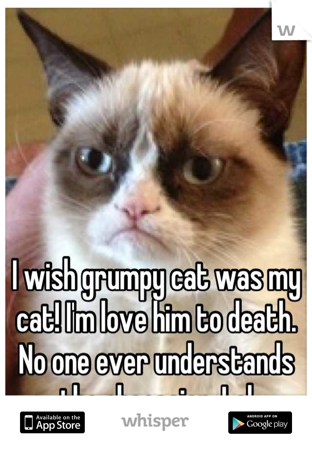 I wish grumpy cat was my cat! I'm love him to death. No one ever understands the obsession. Lol