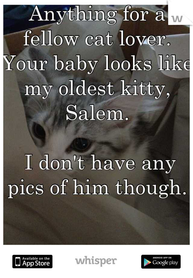 Anything for a fellow cat lover. Your baby looks like my oldest kitty, Salem.

 I don't have any pics of him though.