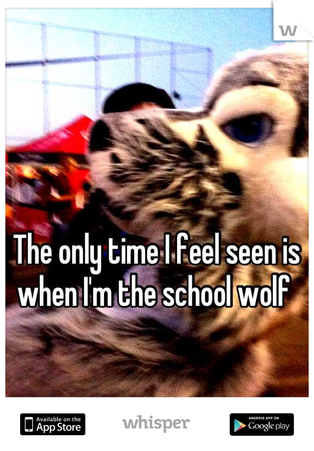The only time I feel seen is when I'm the school wolf 