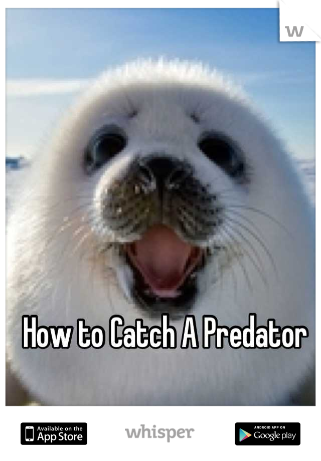 How to Catch A Predator