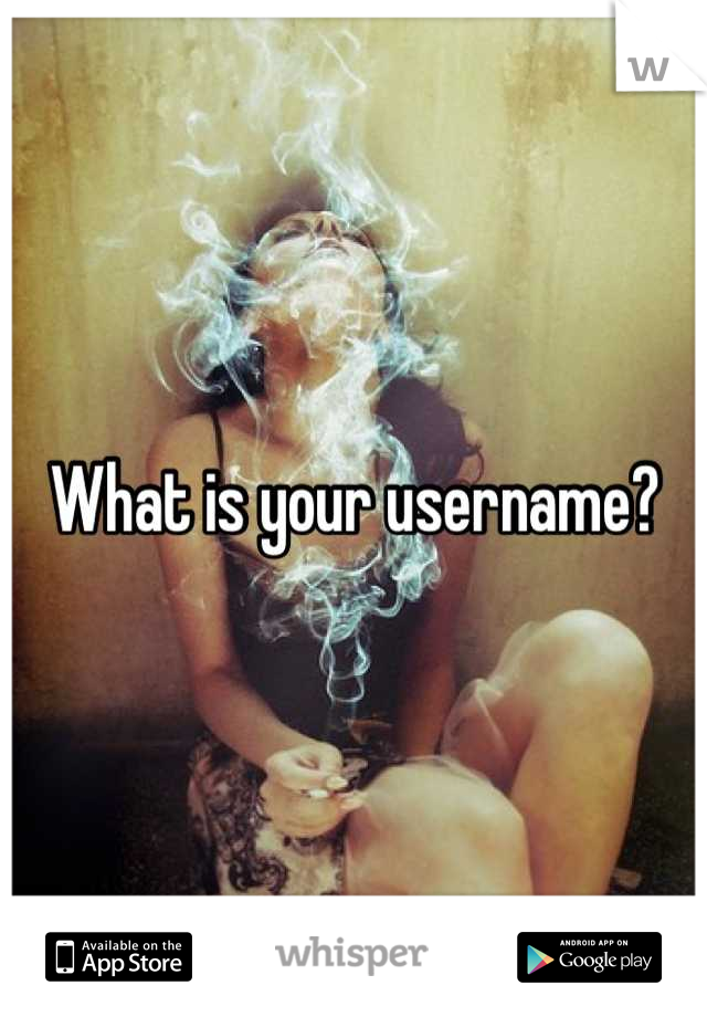 What is your username?