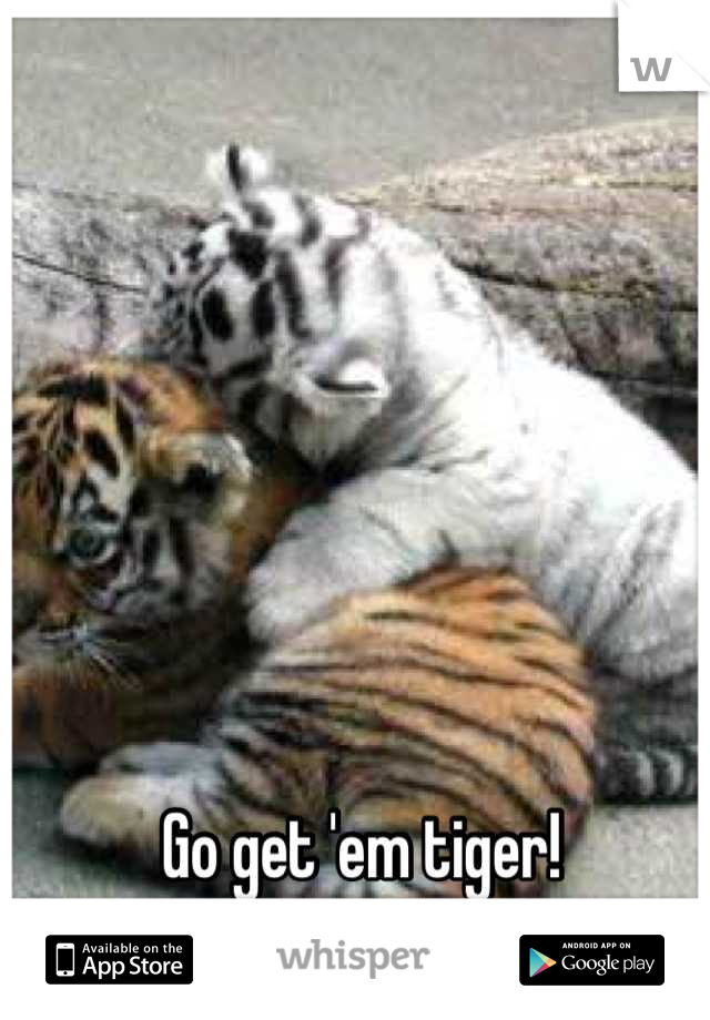 Go get 'em tiger!  