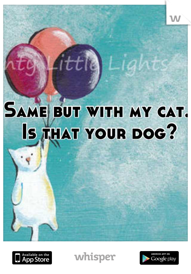 Same but with my cat.
 Is that your dog?