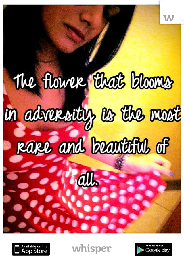 The flower that blooms in adversity is the most rare and beautiful of all. 