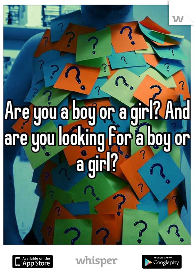 Are you a boy or a girl? And are you looking for a boy or a girl?