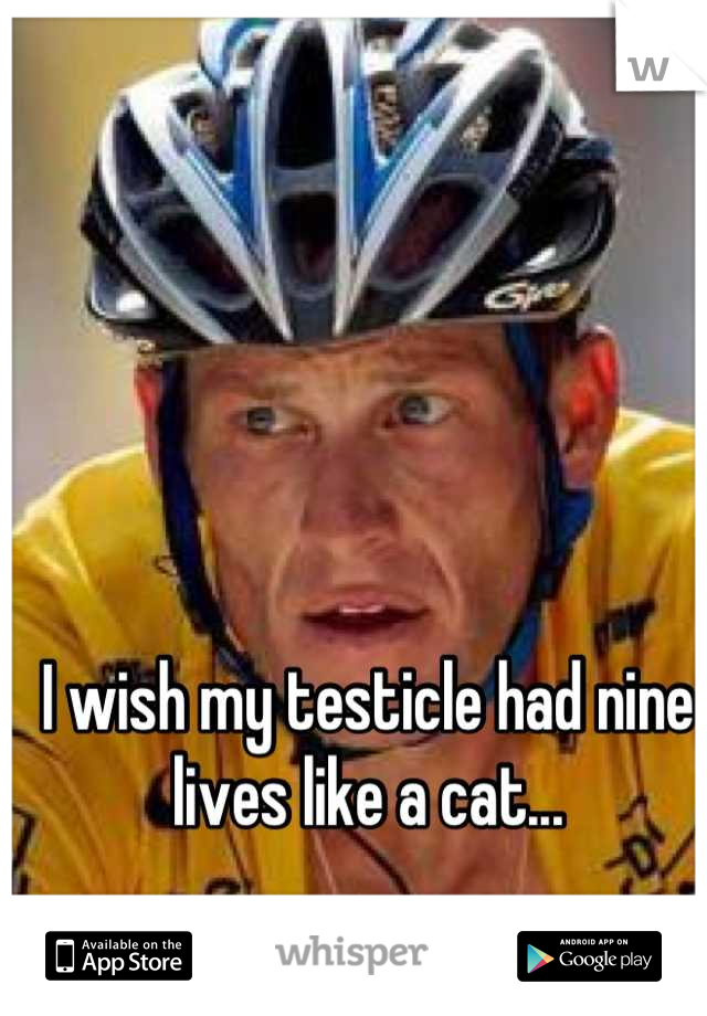I wish my testicle had nine lives like a cat...