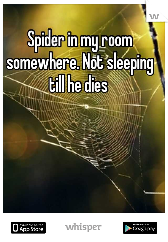 Spider in my room somewhere. Not sleeping till he dies 