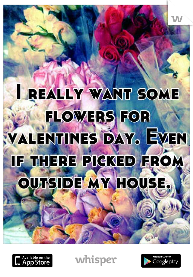 I really want some flowers for valentines day. Even if there picked from outside my house. 