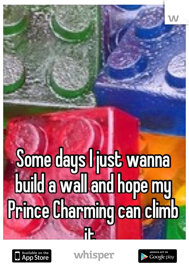Some days I just wanna build a wall and hope my Prince Charming can climb it. 
