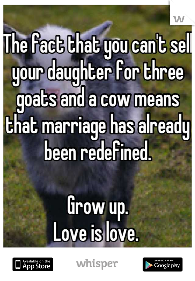 The fact that you can't sell your daughter for three goats and a cow means that marriage has already been redefined. 

Grow up.
Love is love. 