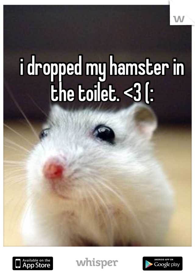 i dropped my hamster in the toilet. <3 (: