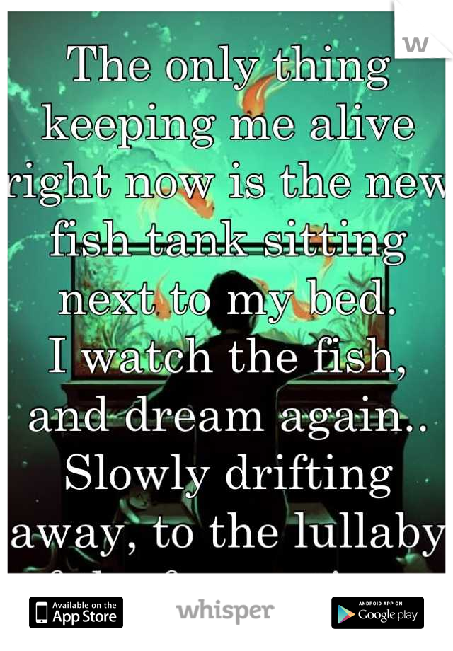 The only thing keeping me alive right now is the new fish tank sitting next to my bed.
I watch the fish, and dream again..
Slowly drifting away, to the lullaby of the frozen time..