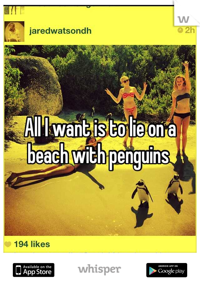All I want is to lie on a beach with penguins 