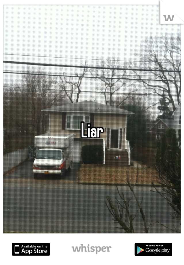 Liar
