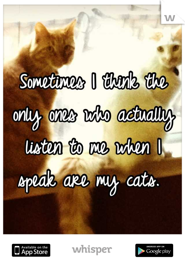 Sometimes I think the only ones who actually listen to me when I speak are my cats. 