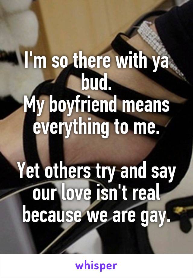 I'm so there with ya bud.
My boyfriend means everything to me.

Yet others try and say our love isn't real because we are gay.