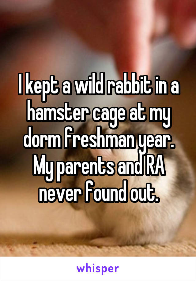 I kept a wild rabbit in a hamster cage at my dorm freshman year. My parents and RA never found out.