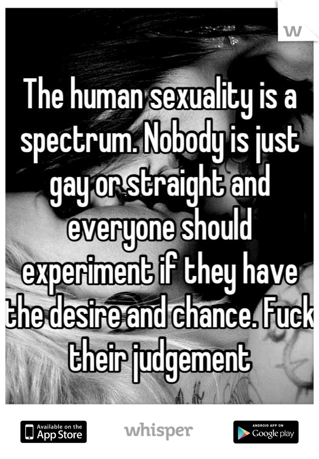 The human sexuality is a spectrum. Nobody is just gay or straight and everyone should experiment if they have the desire and chance. Fuck their judgement