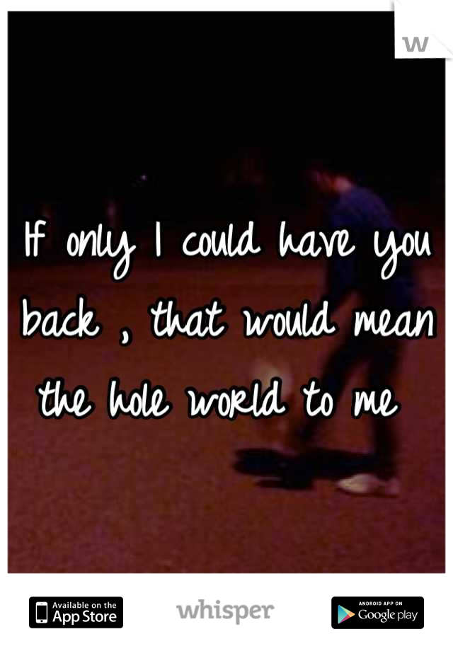 If only I could have you back , that would mean the hole world to me 