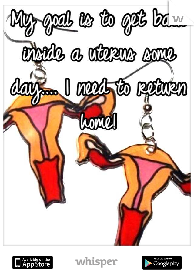 My goal is to get back inside a uterus some day.... I need to return home!