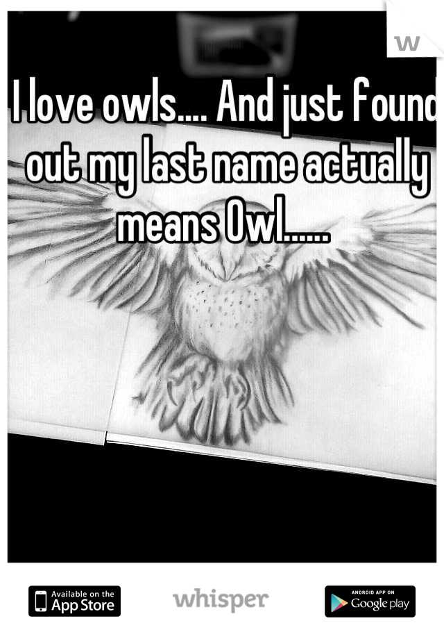 I love owls.... And just found out my last name actually means Owl...... 