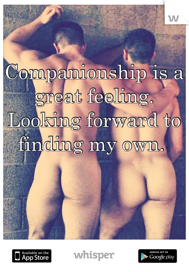 Companionship is a great feeling. Looking forward to finding my own. 