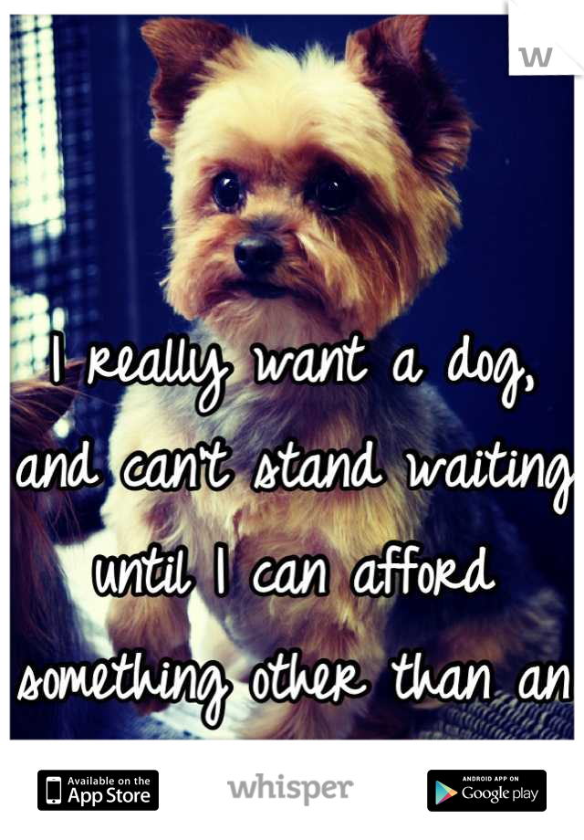 


I really want a dog, and can't stand waiting until I can afford something other than an apartment... 