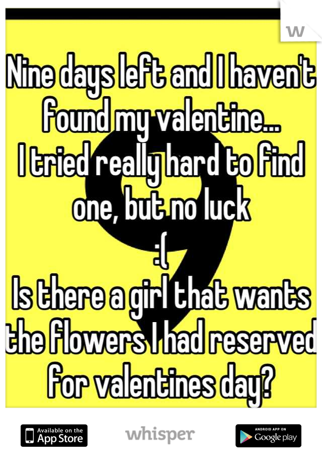 Nine days left and I haven't found my valentine...
I tried really hard to find one, but no luck
:(
Is there a girl that wants the flowers I had reserved for valentines day?