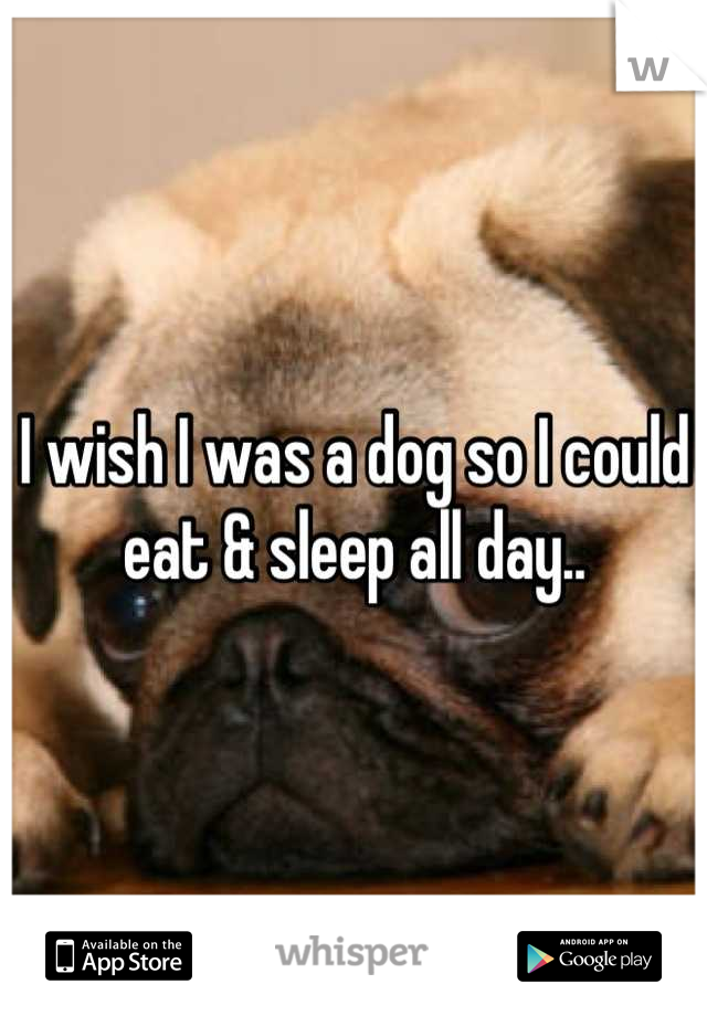 I wish I was a dog so I could eat & sleep all day..