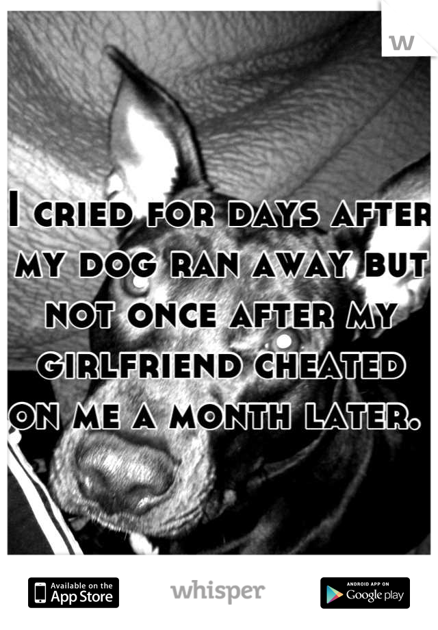 I cried for days after my dog ran away but not once after my girlfriend cheated on me a month later. 