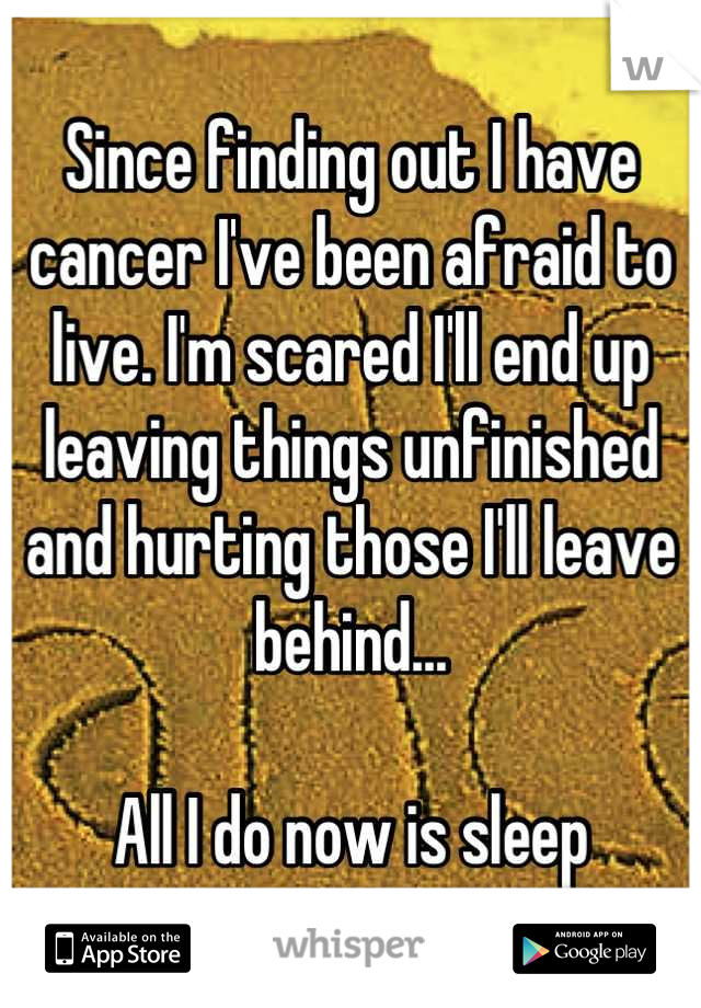 Since finding out I have cancer I've been afraid to live. I'm scared I'll end up leaving things unfinished and hurting those I'll leave behind...

All I do now is sleep