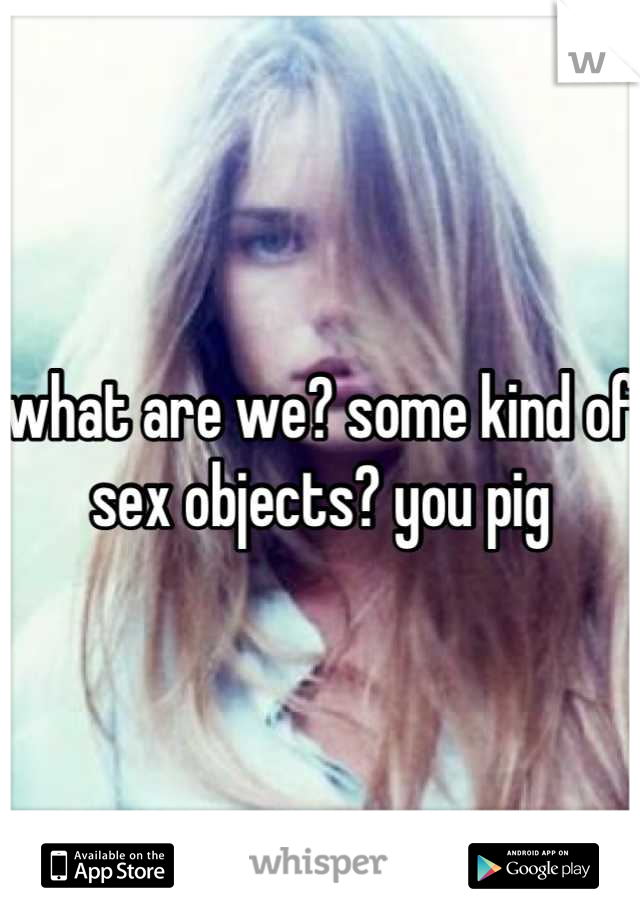 what are we? some kind of sex objects? you pig