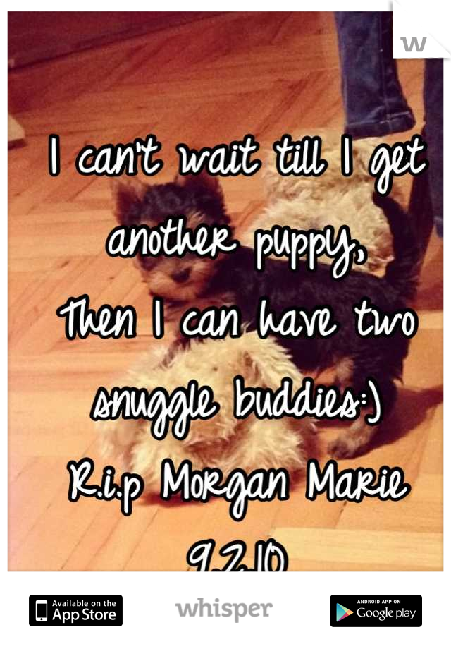 I can't wait till I get another puppy,
Then I can have two snuggle buddies:)
R.i.p Morgan Marie
9.2.10